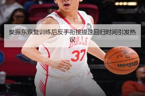 樊振东恢复训练后反手衔接提速回归时间引发热议
